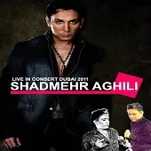 دانلود آهنگ شادمهر عقیلی ژینا