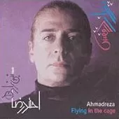 دانلود آهنگ احمد رضا نبی زاده پرواز در قفس