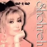 دانلود آهنگ  چه کنم { با دو کیفیت 320 و 128 }