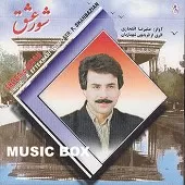 دانلود آهنگ علیرضا افتخاری شور عاشقانه