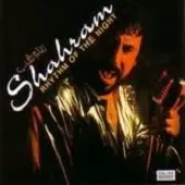 دانلود آهنگ شهرام شب پره Don’t Let Me Be Misunderstood