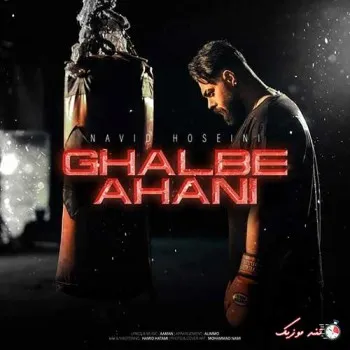 دانلود آهنگ همیشه باهات کور می‌شدذوقم،مشتایی که تو دیوار میکوبم نوید حسینی ریمیکس بیس دار تند شاد